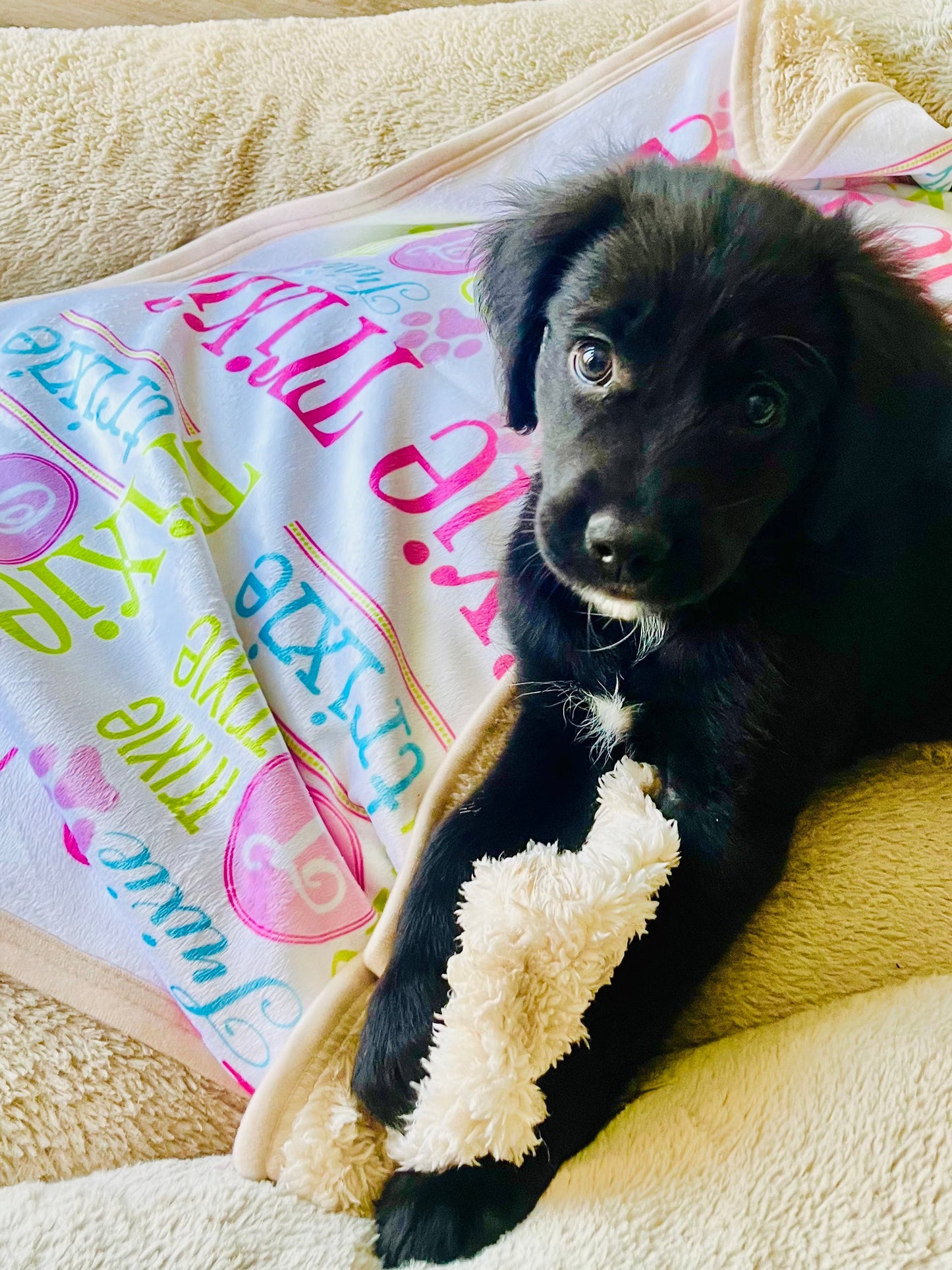 Personalized Pet Blanket - Dog Name Blanket